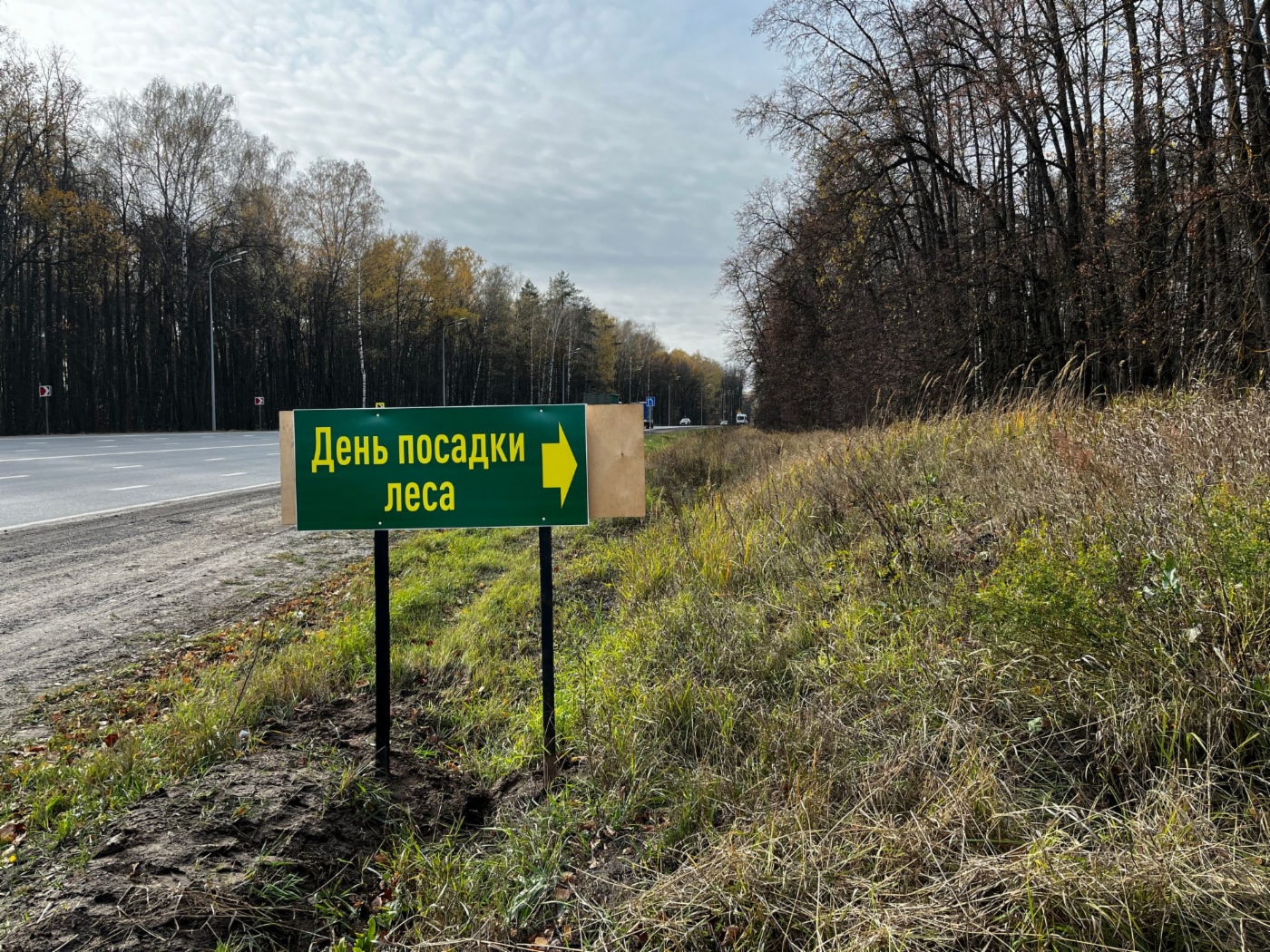 Сохраним лес