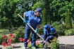Газовики подготовили клумбы и высадили многолетние растения