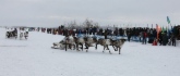 В Надыме прошли Открытые традиционные соревнования оленеводов