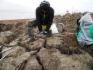 Полевые работы геологов в районе Ямальского кратера