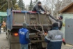 Газовики помогли очистить от ветхих деревьев большую часть территории сада «Русский лес»
