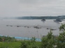 Делегация ООО «Газпром добыча шельф» поздравила с праздником моряков-североморцев