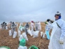 Замазученный грунт складывают в мешки для вывоза с территории пляжа