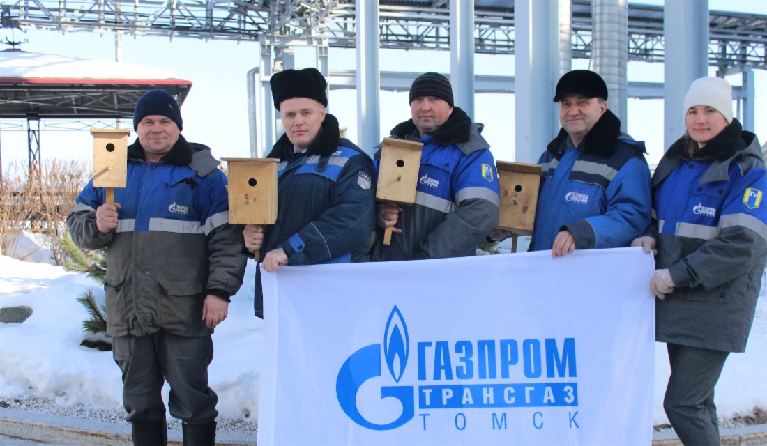 Работники Приморского филиала накормили птиц, изготовив 50 кормушек и скворечников