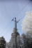 222 птицезащитных устройства установлено в заказнике регионального назначения «Кудряшовский бор»
