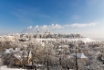 Владимир. Фотобанк «Лори»