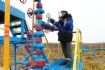 Фонд газовых скважин Камчатского газопромыслового управления ООО «Газпром добыча Ноябрьск»

