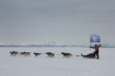 До финиша остались считанные километры