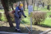 Газовики убирают прилегающую к памятнику территорию в городе Невинномысске Ставропольского края