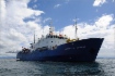 «Газпром» и Petrovietnam развивают сотрудничество