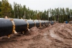 Строительство газопровода «Грязовец — Выборг»