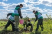 Работники филиала УМТСиК высадили деревья на берегу р. Томь