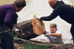 Эксклюзивный фоторепортаж: «Тридцать тысяч газпромовцев на всероссийской уборке» Эксклюзивный фоторепортаж: «Тридцать тысяч газпромовцев на всероссийской уборке»