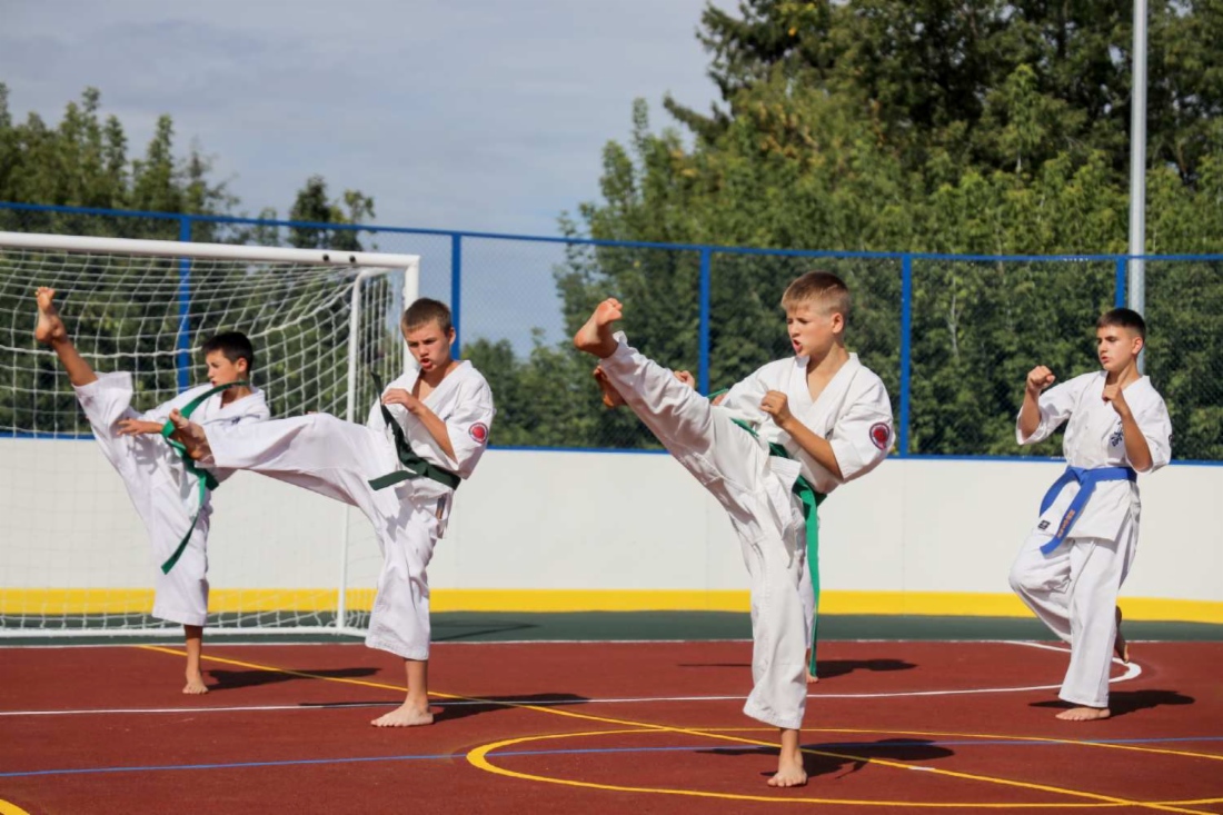Показательное выступление юных тхэквандистов