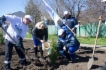 Газовики на субботнике «Зеленая Весна — 2017» в городе Изобильном Ставропольского края