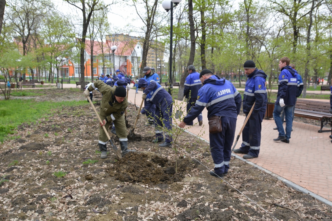 Экологическая акция в городе Минеральные Воды Ставропольского края