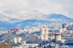 «Газпром» и BASF SE провели заседание Координационного комитета по стратегическому сотрудничеству