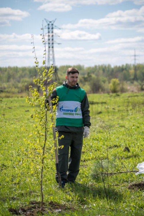 Высадка деревьев работниками УМТСиК г. Томск