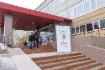 В акции «Спаси дерево» приняли участие школы Сургута