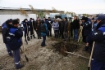 Компания «Газпром добыча Краснодар» заложила новую аллею в станице Каневской