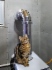 В котельной домовладения