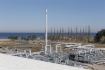 «Газпром» и OMV обсудили сотрудничество в рамках «Северного потока — 2»