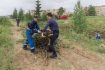 Всего в экологическом мероприятии приняли участие более 500 сотрудников филиалов и администрации ООО «Газпром трансгаз Ухта»