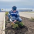 Субботник «Зеленая весна»: высадка роз