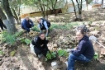 В субботнике приняли участие более тысячи газовиков ООО «Газпром трансгаз Ставрополь»