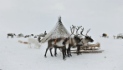 Бованёнку — 1 год