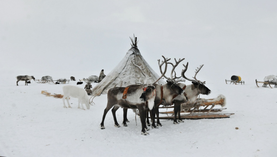 Бованёнку — 1 год