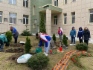 В новосибирском детском саду «Фея» зазеленели туи