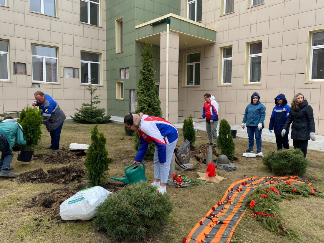 В новосибирском детском саду «Фея» зазеленели туи
