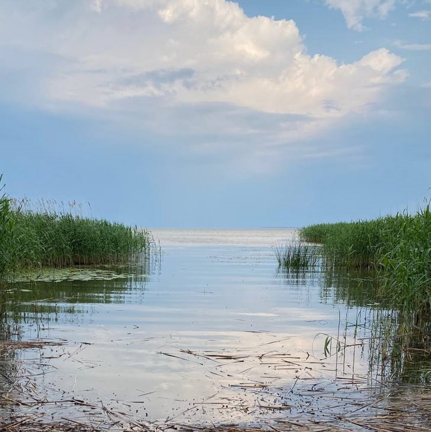 Акватория Куршского залива Балтийского моря
