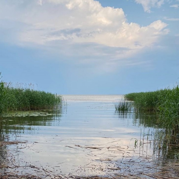 Акватория Куршского залива Балтийского моря
