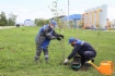 Работники Невинномысского ЛПУМГ высаживают деревья на газораспределительной станции — 2