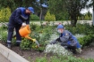 Высадка цветочных клумб в промышленной столице Ставрополья