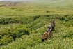 Клуб «Десантник» во время похода на мысе Крильон