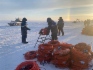 На Ямале общий объем сейсмической съемки составил порядка 1,5 тыс. кв. км