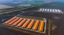 Свиноводческий комплекс в Бежецком районе