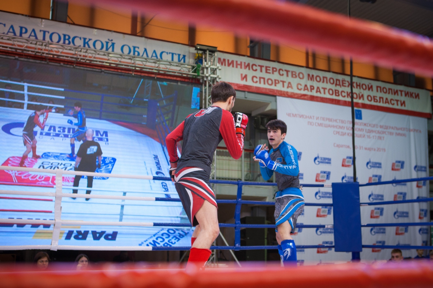 Участники соревнований боролись за путевки на Чемпионат и Первенство России по смешанному боевому единоборству (ММА)