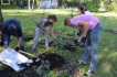 В экологическом фестивали приняли участие 10 команд школьных лесничих экологических объединений