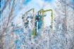 Установка комплексной подготовки газа № 12 Уренгойского газопромыслового управления ООО «Газпром добыча Уренгой»