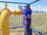 Ввод межпоселкового газопровода от ГРС «Широкий Карамыш»