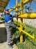 Газификация маслозавода в ст. Гиагинской Республики Адыгея
