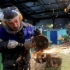 Победная фотография Юрия Меремкулова — «Высекая солнце. Газоэлектросварщик» Победная фотография Юрия Меремкулова — «Высекая солнце. Газоэлектросварщик»