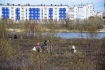 В окрестностях Нового Уренгоя