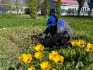 Cубботник в Кущевском ЛПУМГ