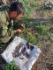 Осмотр найденных военных предметов