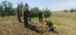 Поисковая экспедиция. Бойцы сводного отряда осматривают место раскопок